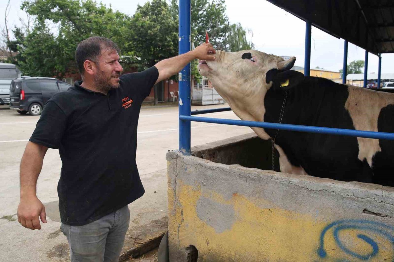 Nilüfer’de kurban kesim alanları belirlendi