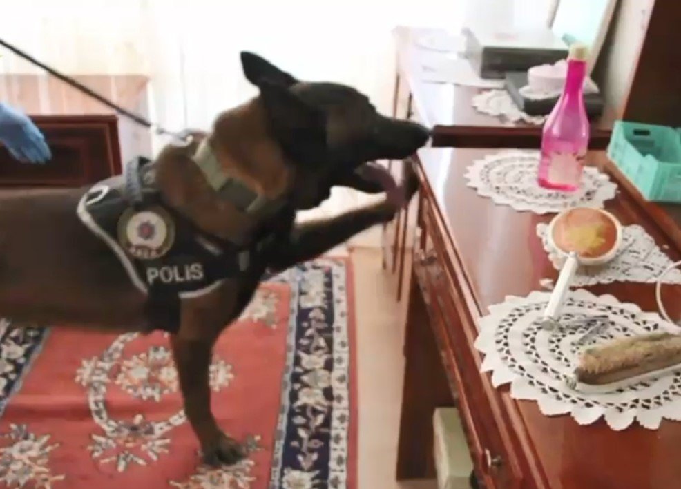 Ordu merkezli uyuşturucu operasyonunda 10 şüpheli tutuklandı