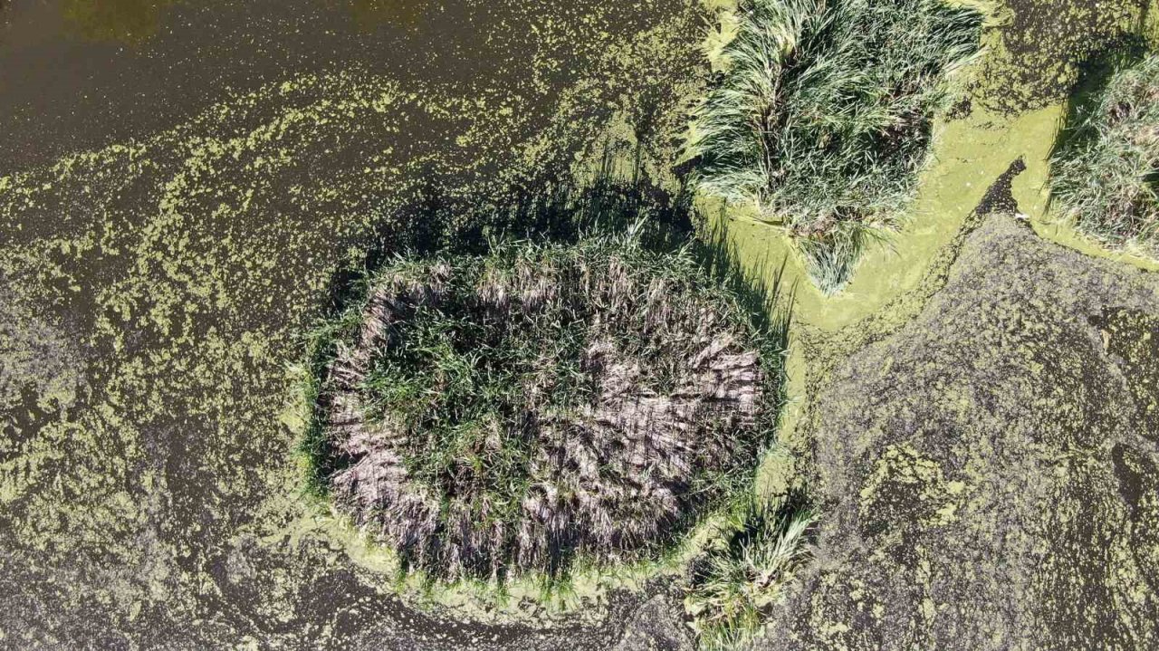 Yüzen adacıklar keşfedilmeyi bekliyor