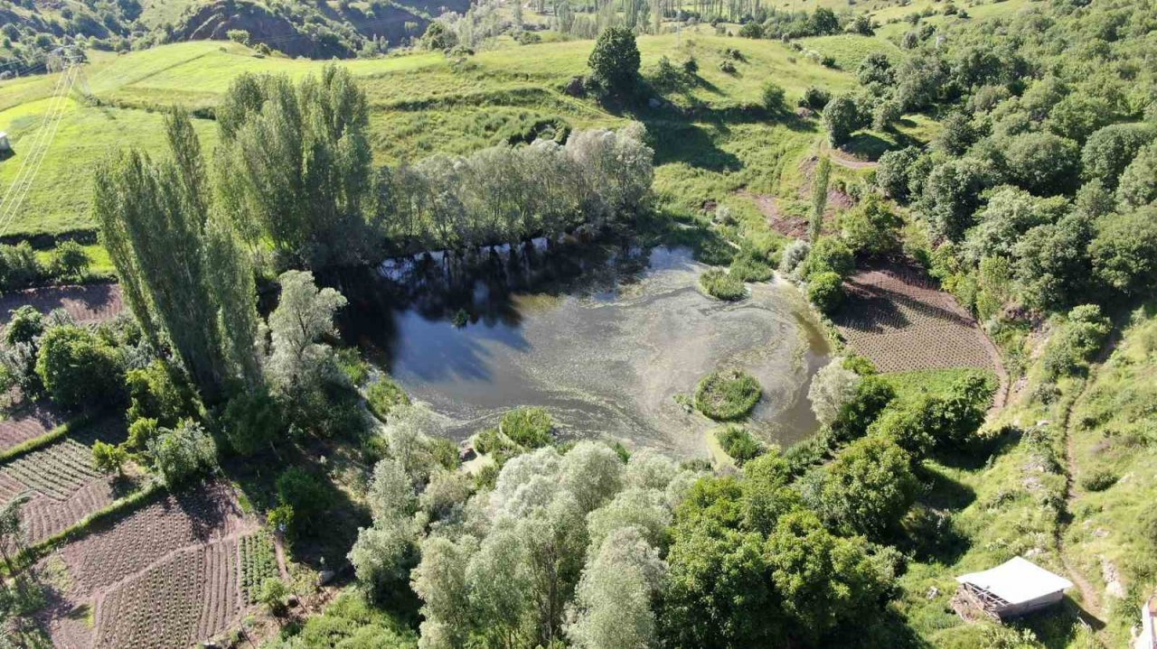 Yüzen adacıklar keşfedilmeyi bekliyor