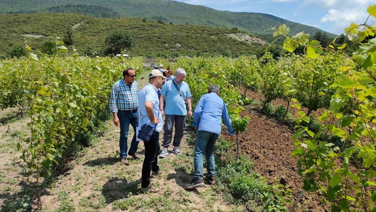 Akademisyenler bağ üreticileri ile buluştu