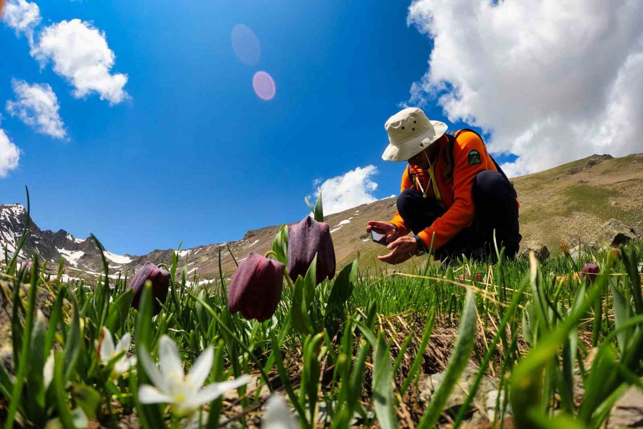 Türkiye’nin büyüleyici doğal güzelliği: Artabel Gölleri