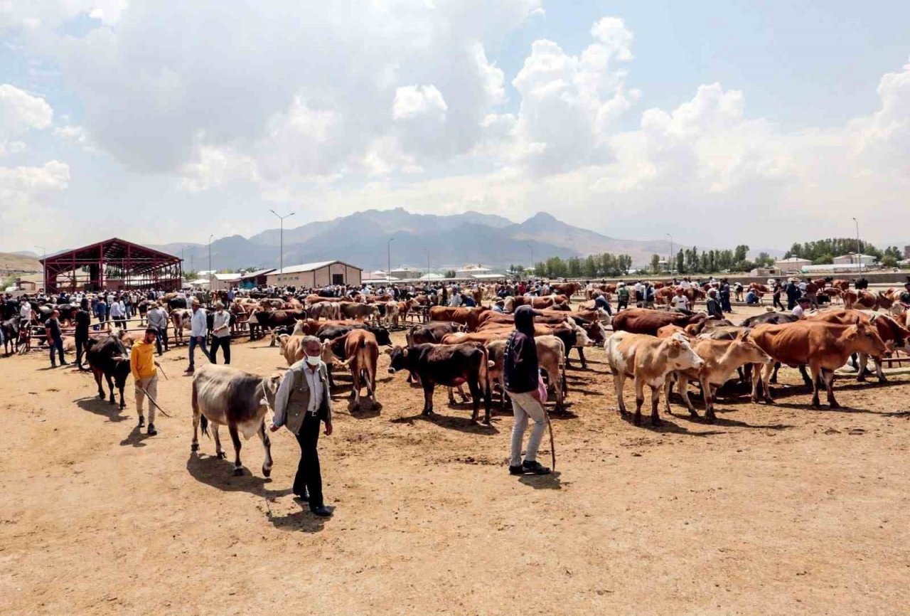 Van’da kurban satış ve kesim yerleri belirlendi
