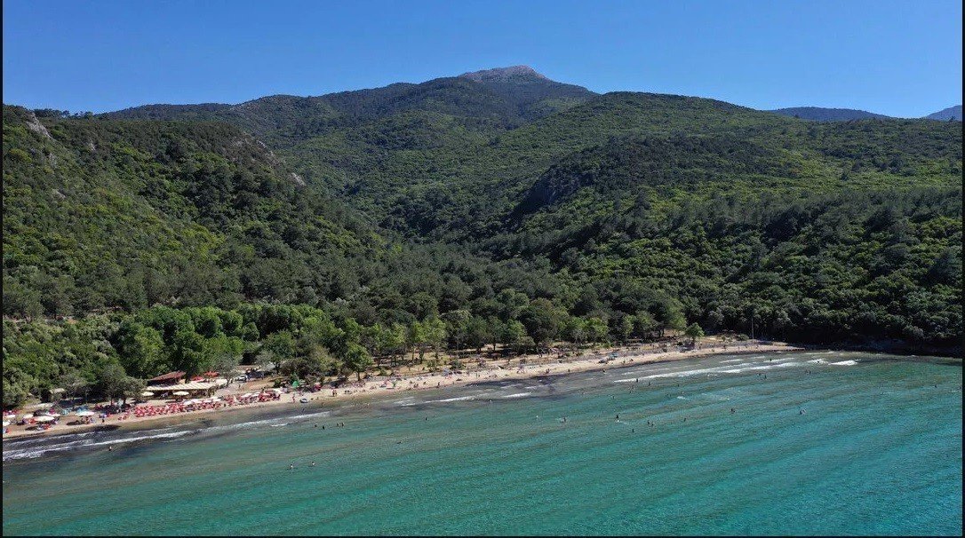 Aydın’da ormanlık alanlara izinsiz girilemeyecek