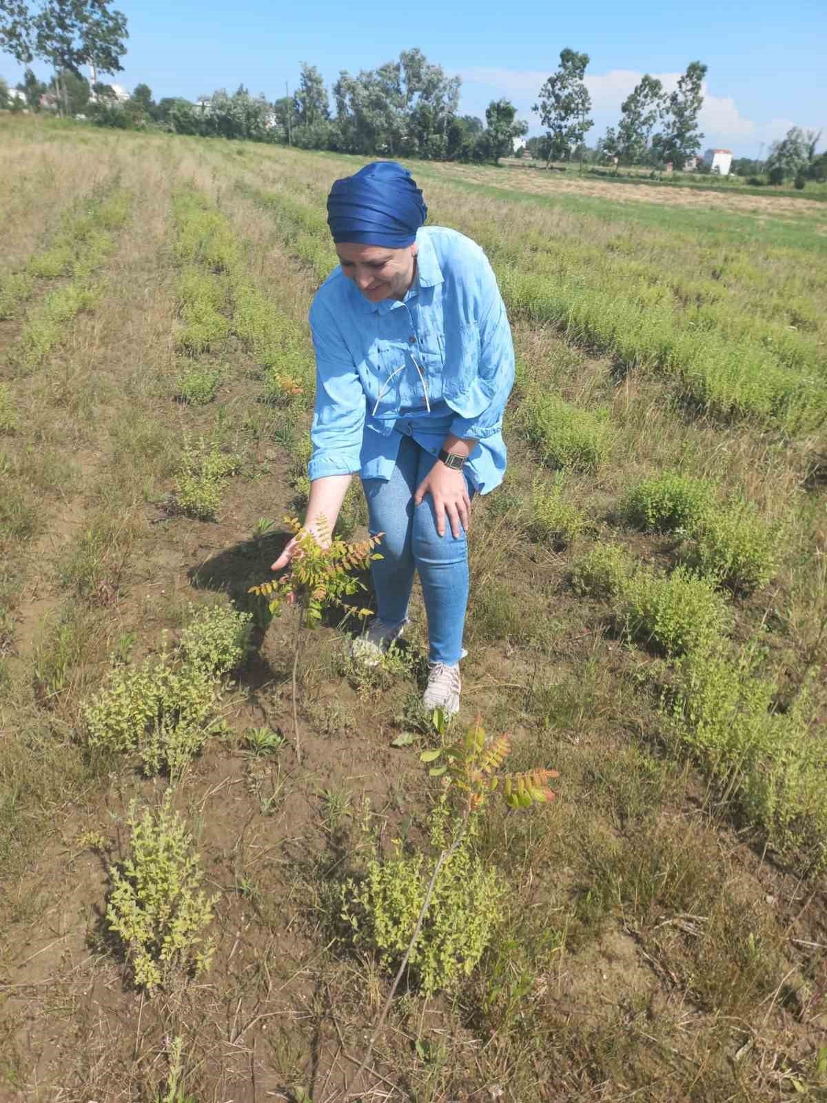 Örnek kadın çiftçi: Bahtışen