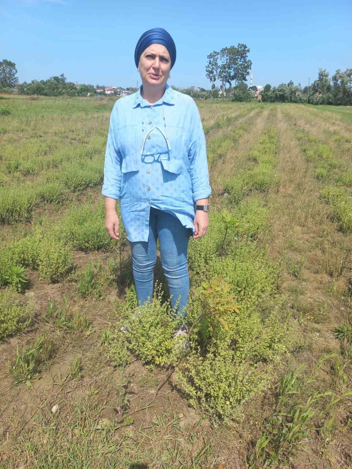 Örnek kadın çiftçi: Bahtışen