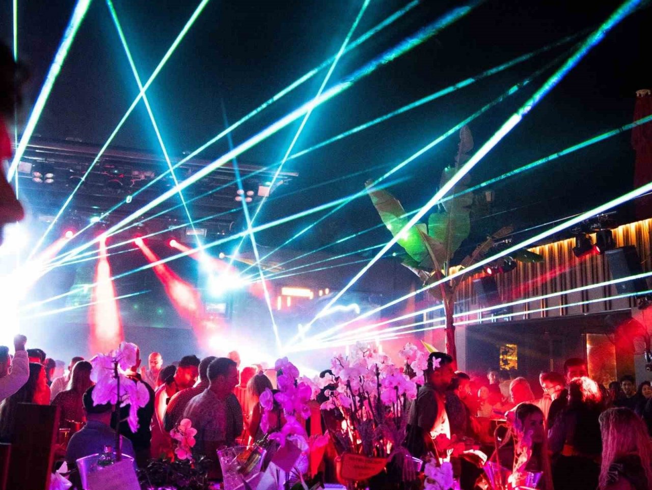 Başkan Ayyıldız ‘’Antalya yaptı, sıra Muğla’da, müzik yasağı kaldırılsın’