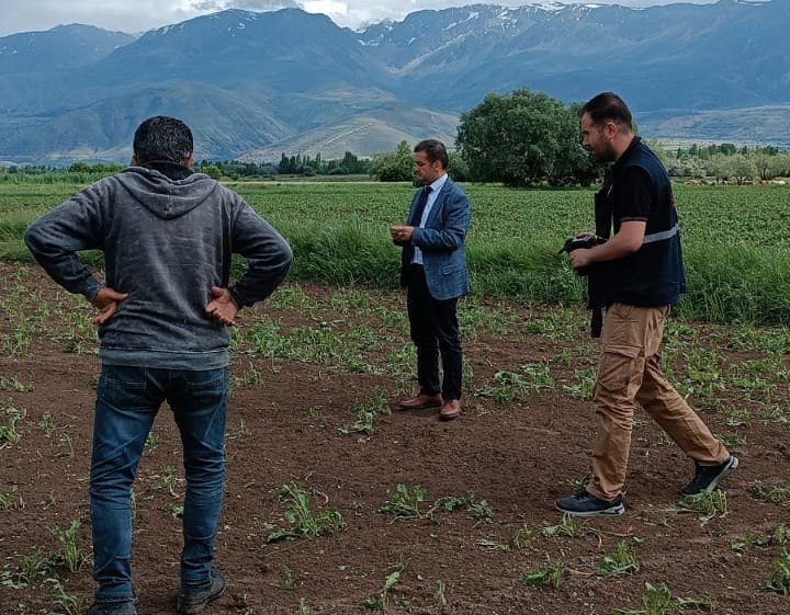 Erzincan’da 2 bin dönüm ekili araziyi dolu vurdu