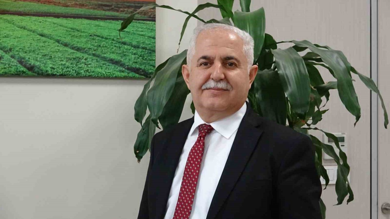 Van Gölü’ndeki av yasağında 55 ton inci kefali ele geçirildi