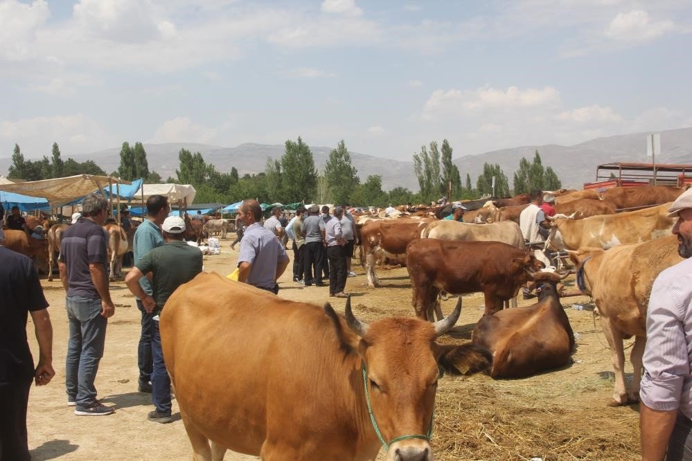 ‘Tarım Cebimde’ uygulaması ile kurbanlıkların bütün bilgilerine ulaşılıyor