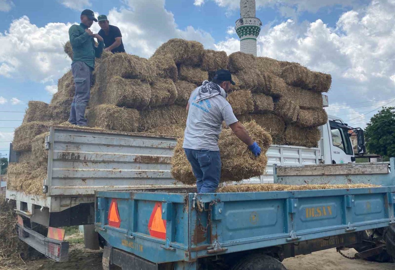 Alaşehir Belediyesi kırsal mahallerde saman dağıttı