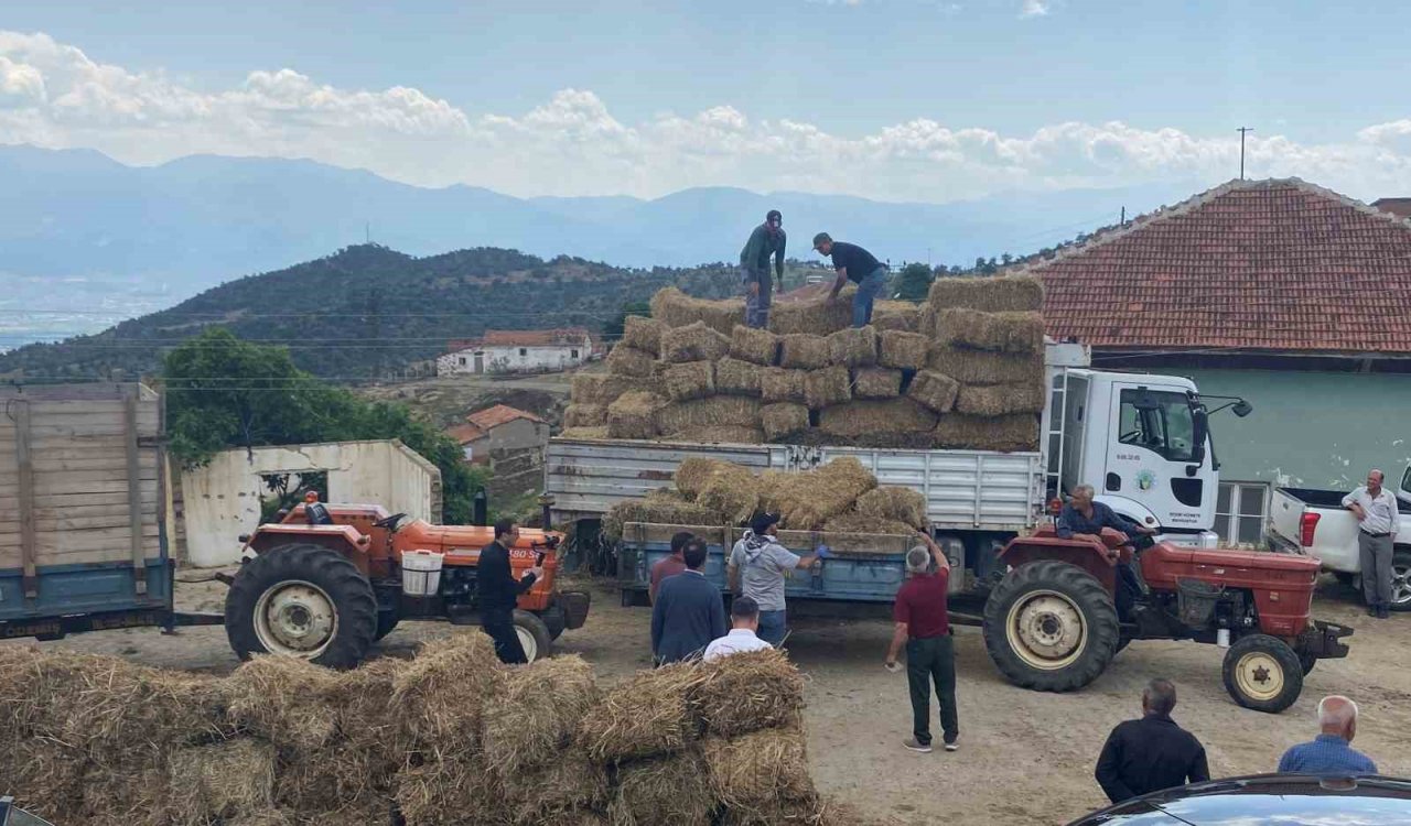 Alaşehir Belediyesi kırsal mahallerde saman dağıttı