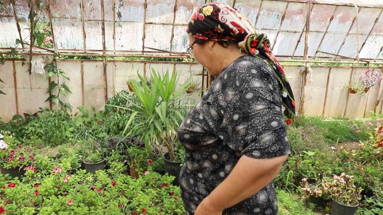 Büyükşehir destekliyor, Muğla’nın kadınları çiçek üretiyor