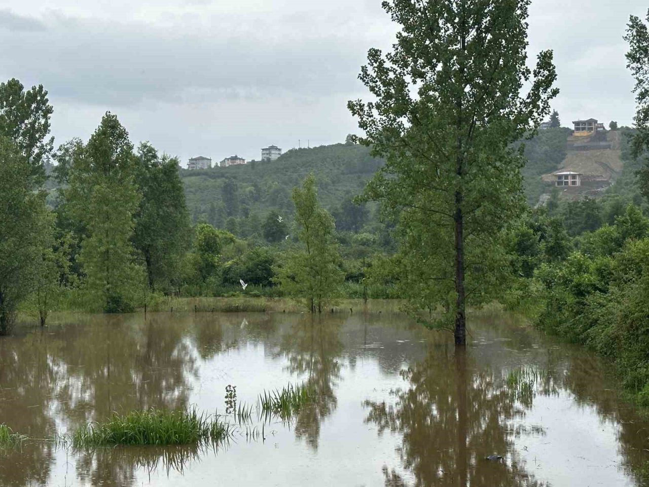 Ordu’da sel: Evler ve tarım arazileri sular altında kaldı
