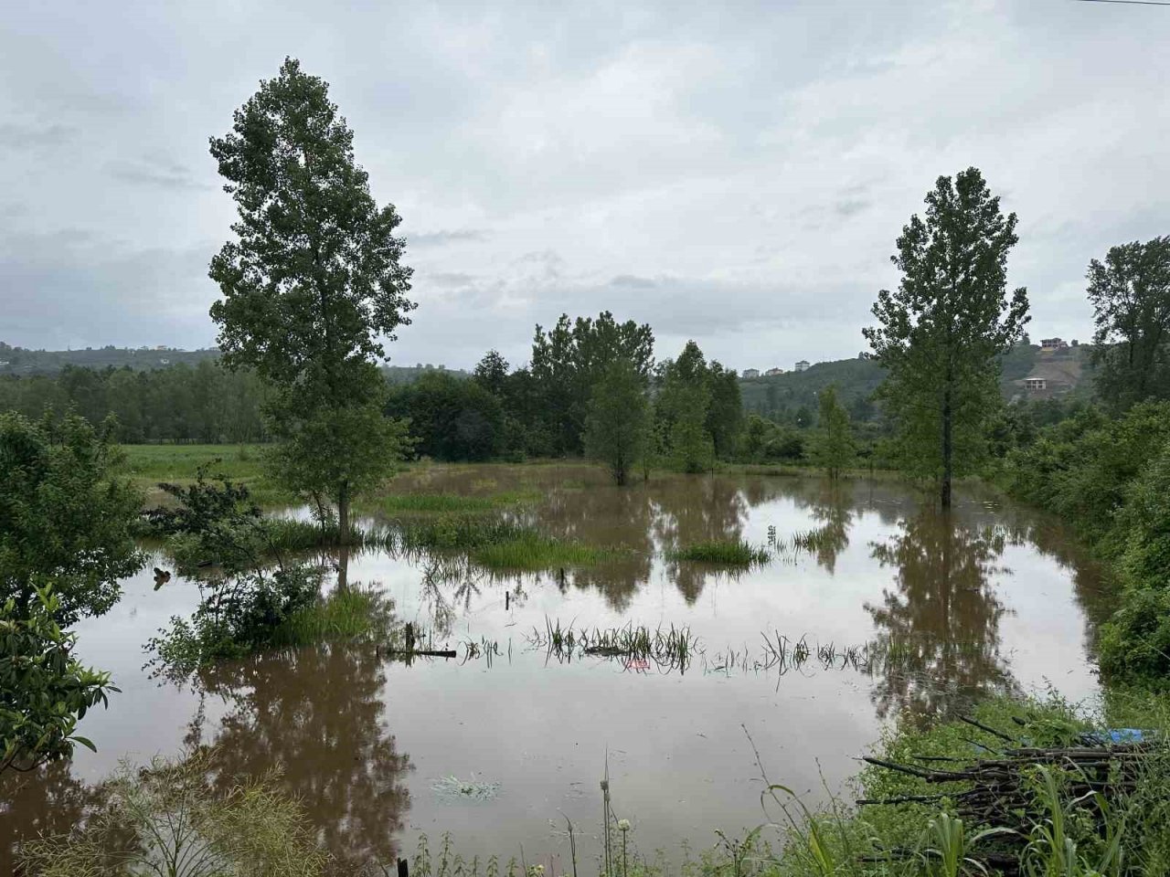 Ordu’da sel: Evler ve tarım arazileri sular altında kaldı
