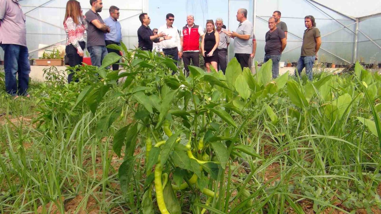 Meslek Liselilerden tarımsal üretime destek