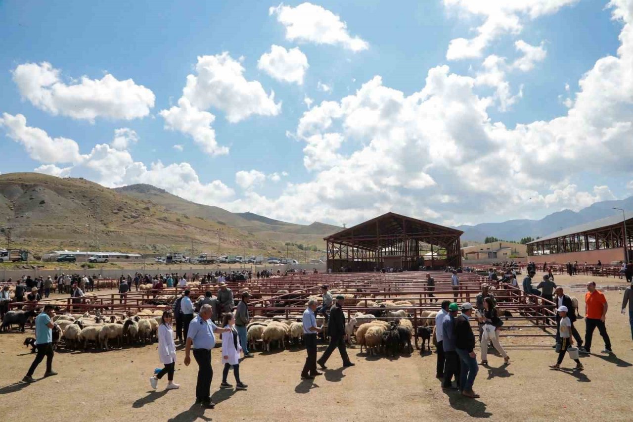 Van Büyükşehir Belediyesinden kurbanlıklar için bilgilendirme