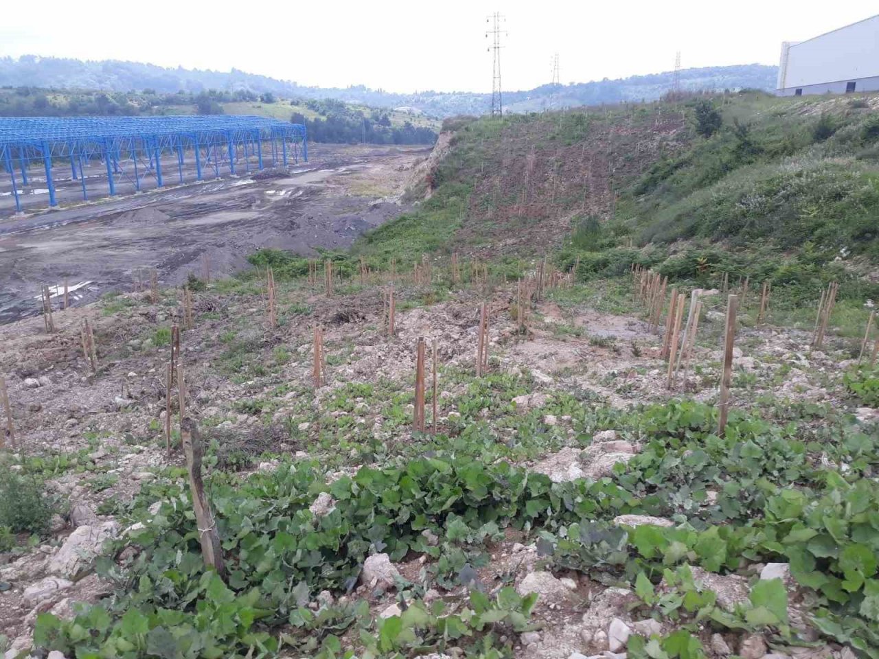 Karma meyve bahçesi projesi ile çiftçilere uygulamalı eğitim