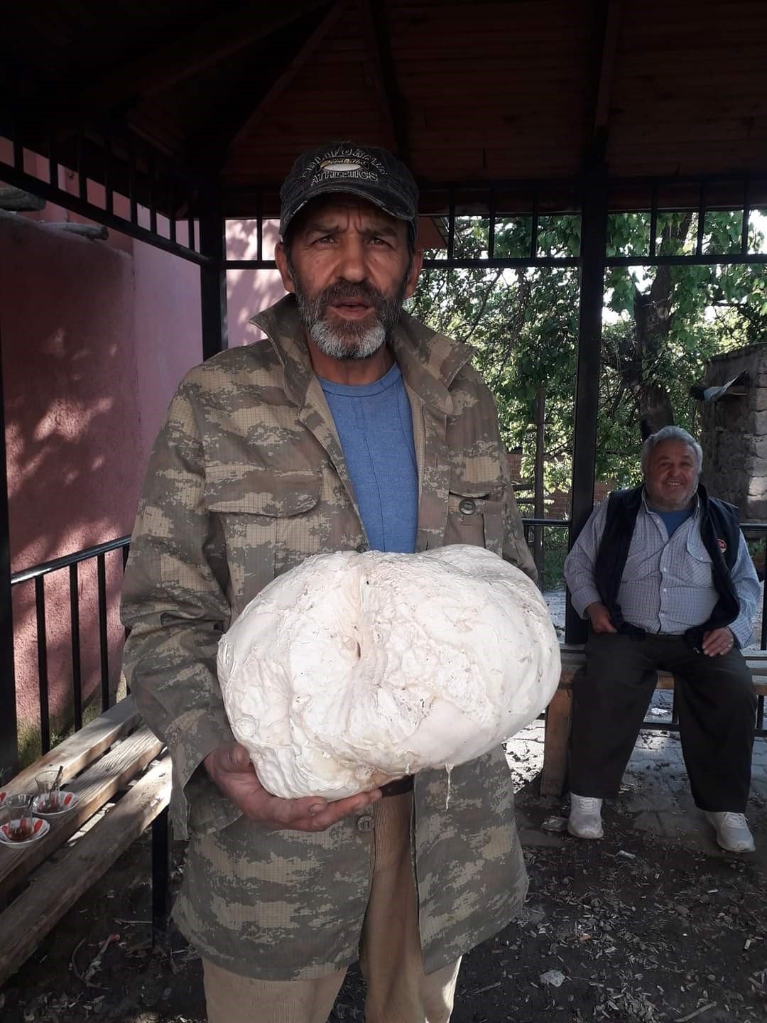 3 kilogramlık mantar görenleri hayrete düşürdü