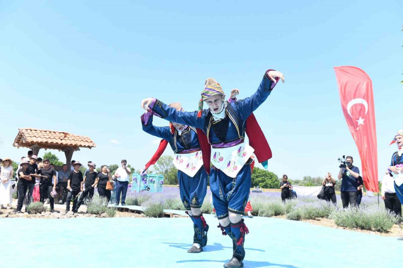 Altıeylül lavanta günleri başladı