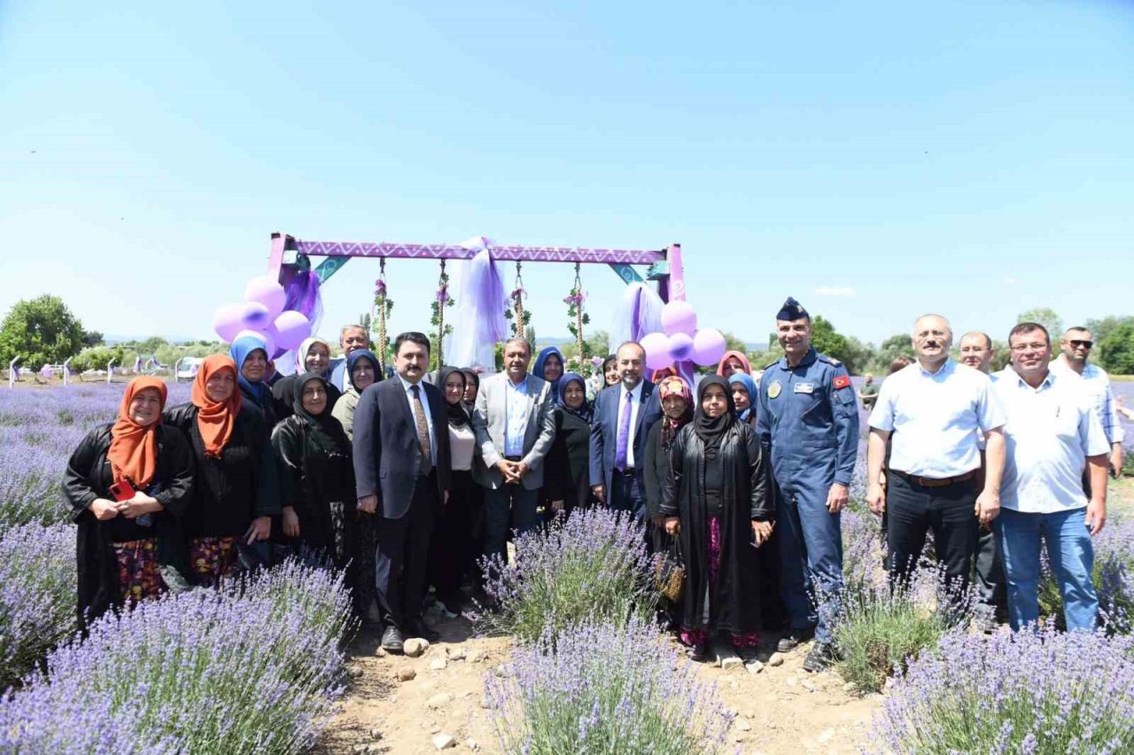 Altıeylül lavanta günleri başladı