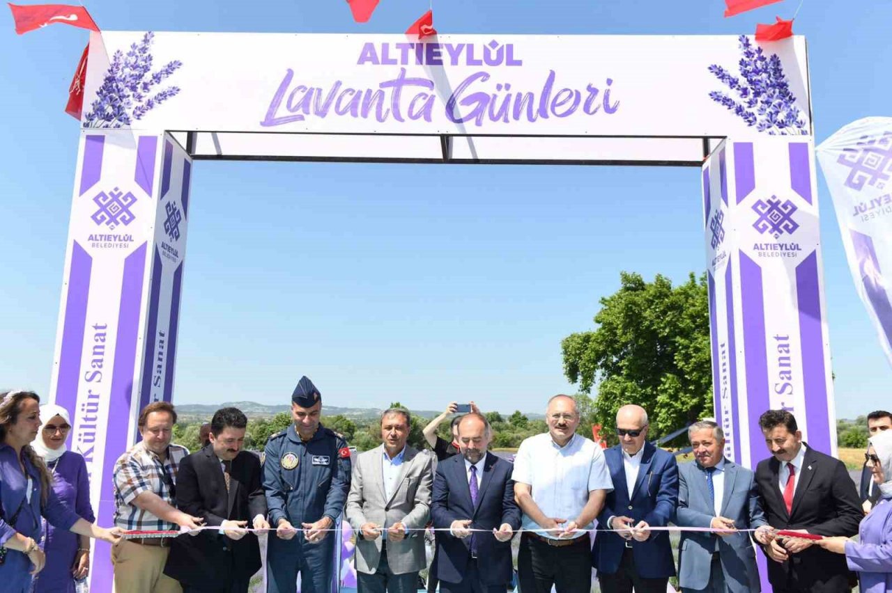 Altıeylül lavanta günleri başladı
