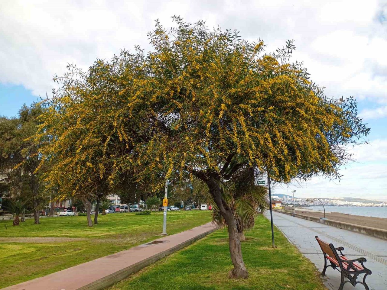 Karadeniz’in Mavi Bayraklı plajları sezona hazır