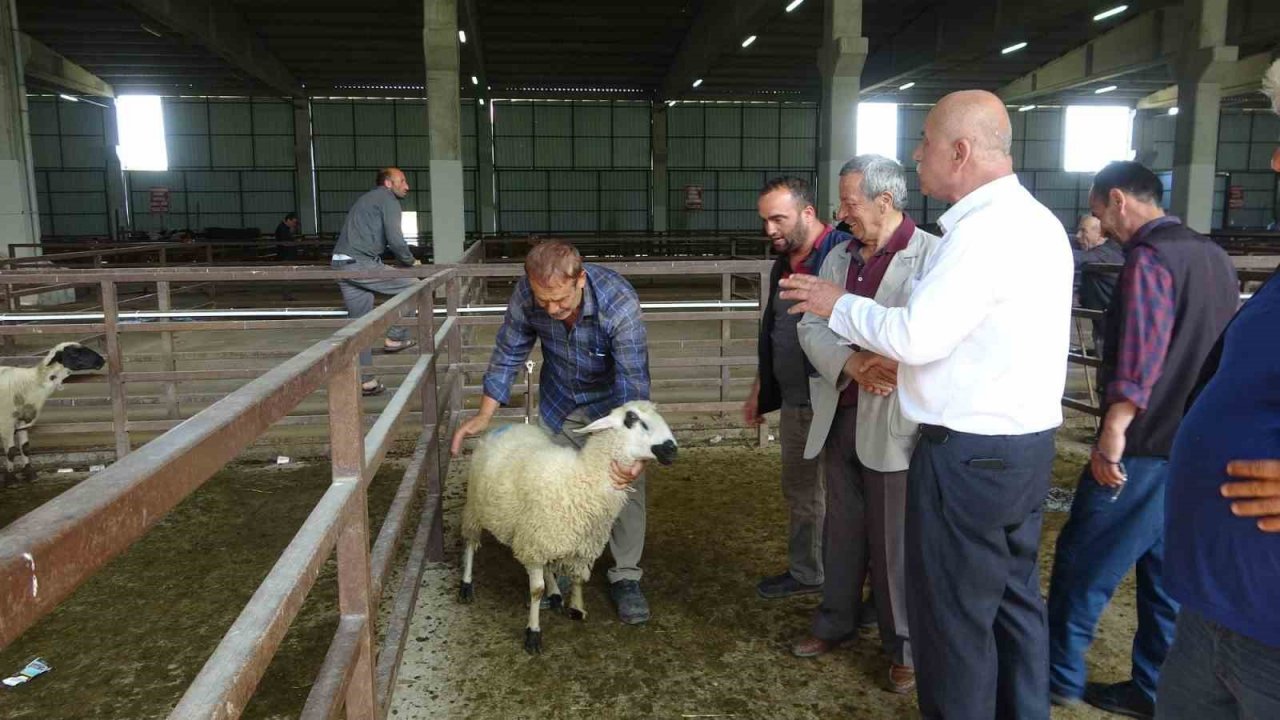 Besiciler kurbanlık satışlarından memnun