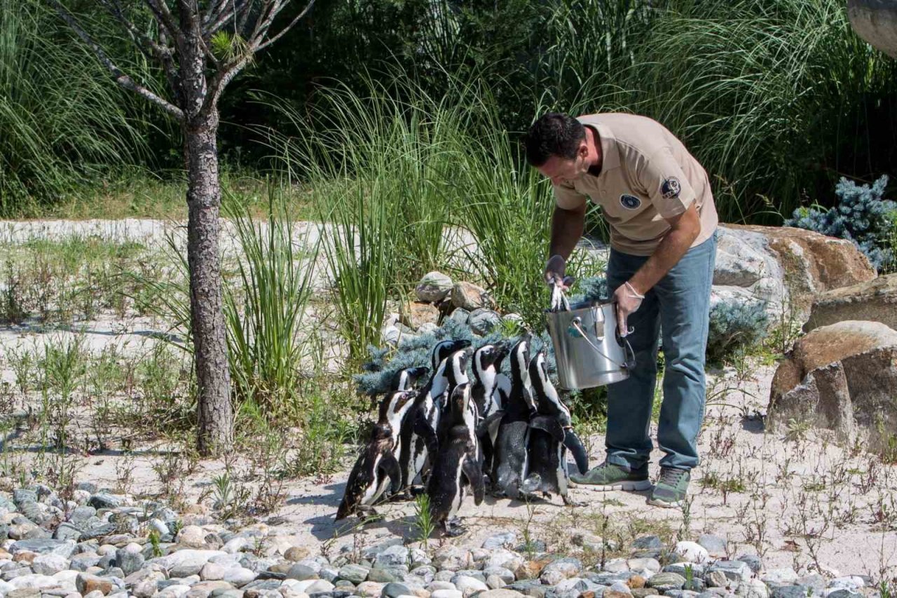 Çocukların bayramı Hayvanat Bahçesi’nde