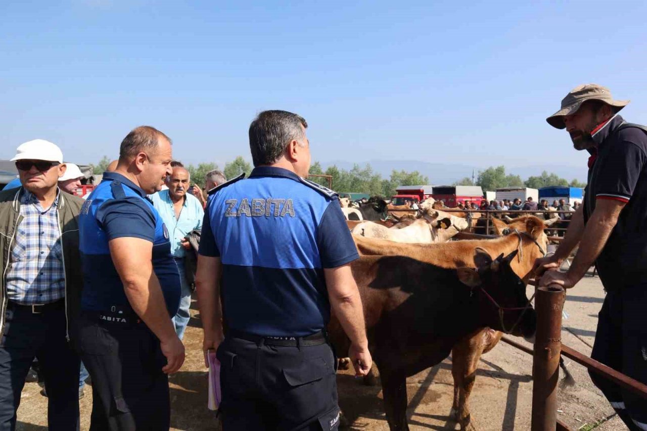Hayvan sağlığı ve evrak denetimi yapıldı