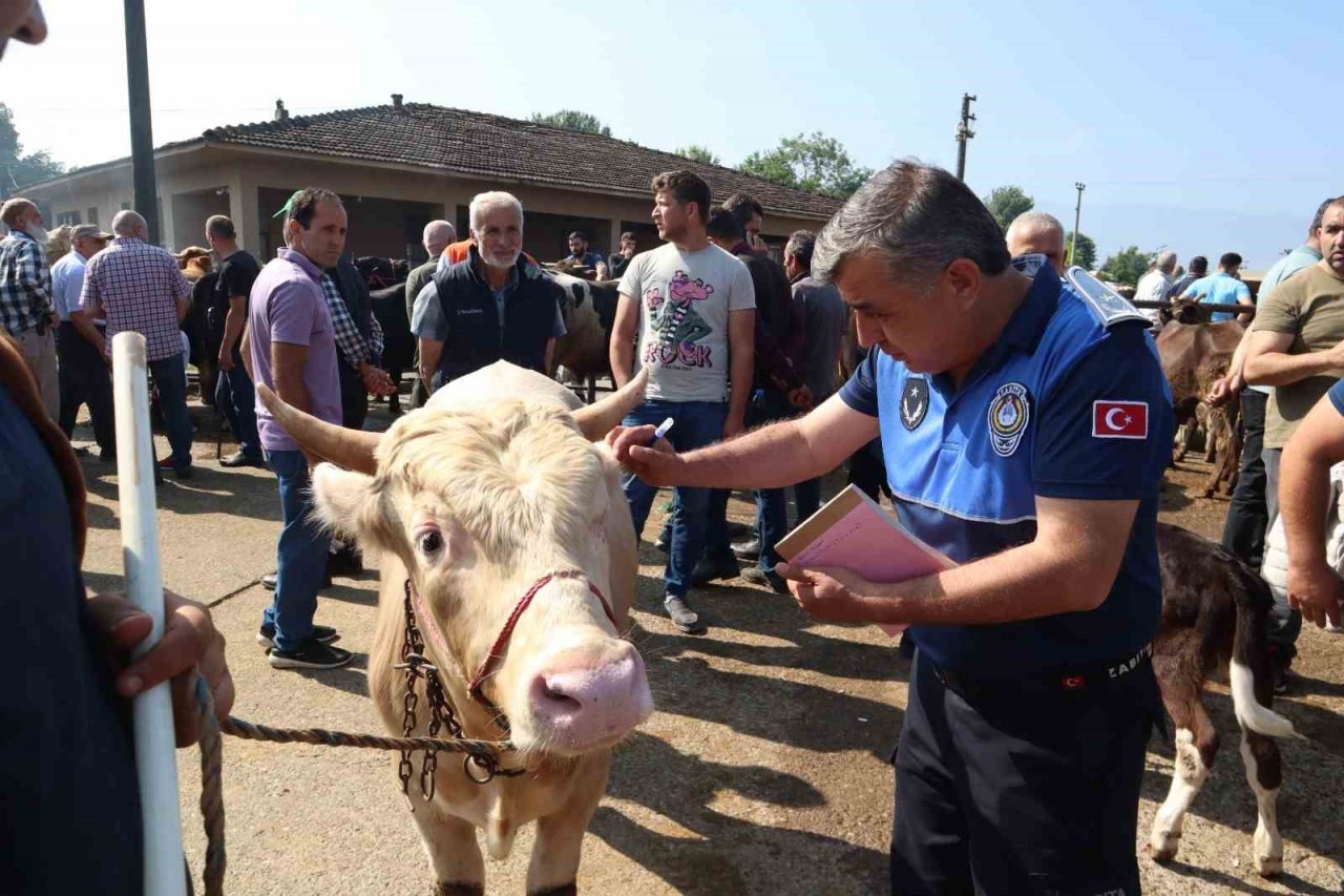 Hayvan sağlığı ve evrak denetimi yapıldı