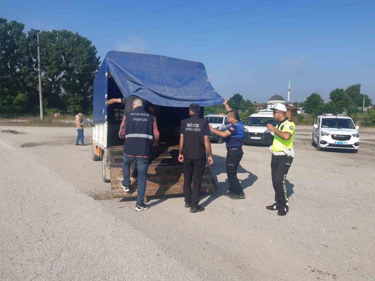 Hayvan sağlığı ve evrak denetimi yapıldı