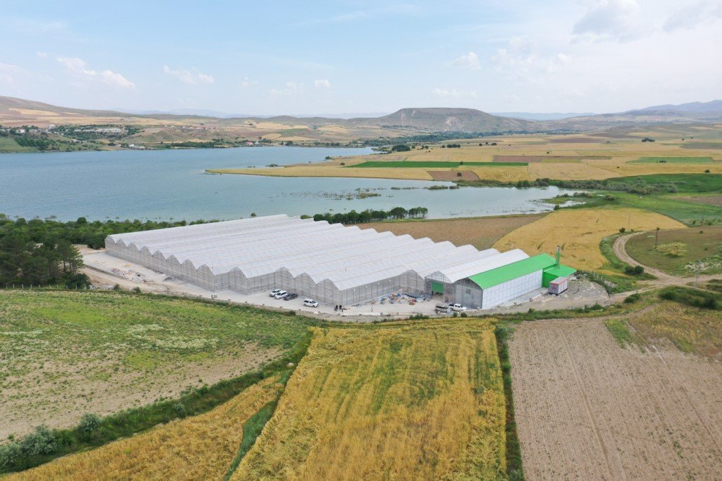 Elazığ Belediyesi jeotermal sera sahasında topraksız tarıma başladı