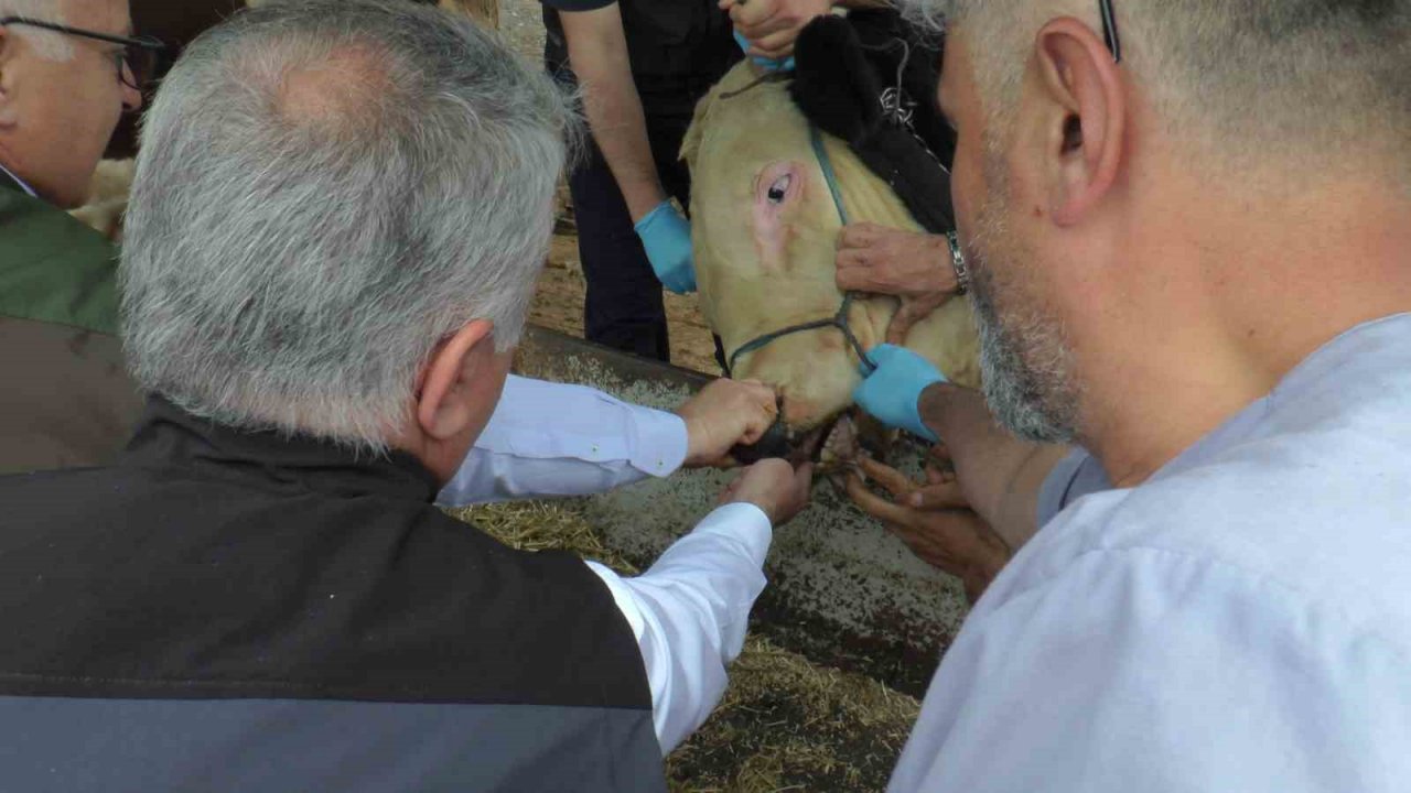 Mustafa Şahin: “Vatandaşlarımız uygulama üzerinden kurbanın bütün bilgilerine ulaşabilir”