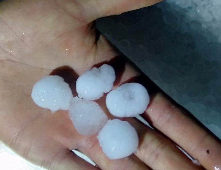 Malatya’da dolu yağışı kayısı bahçelerine zarar verdi