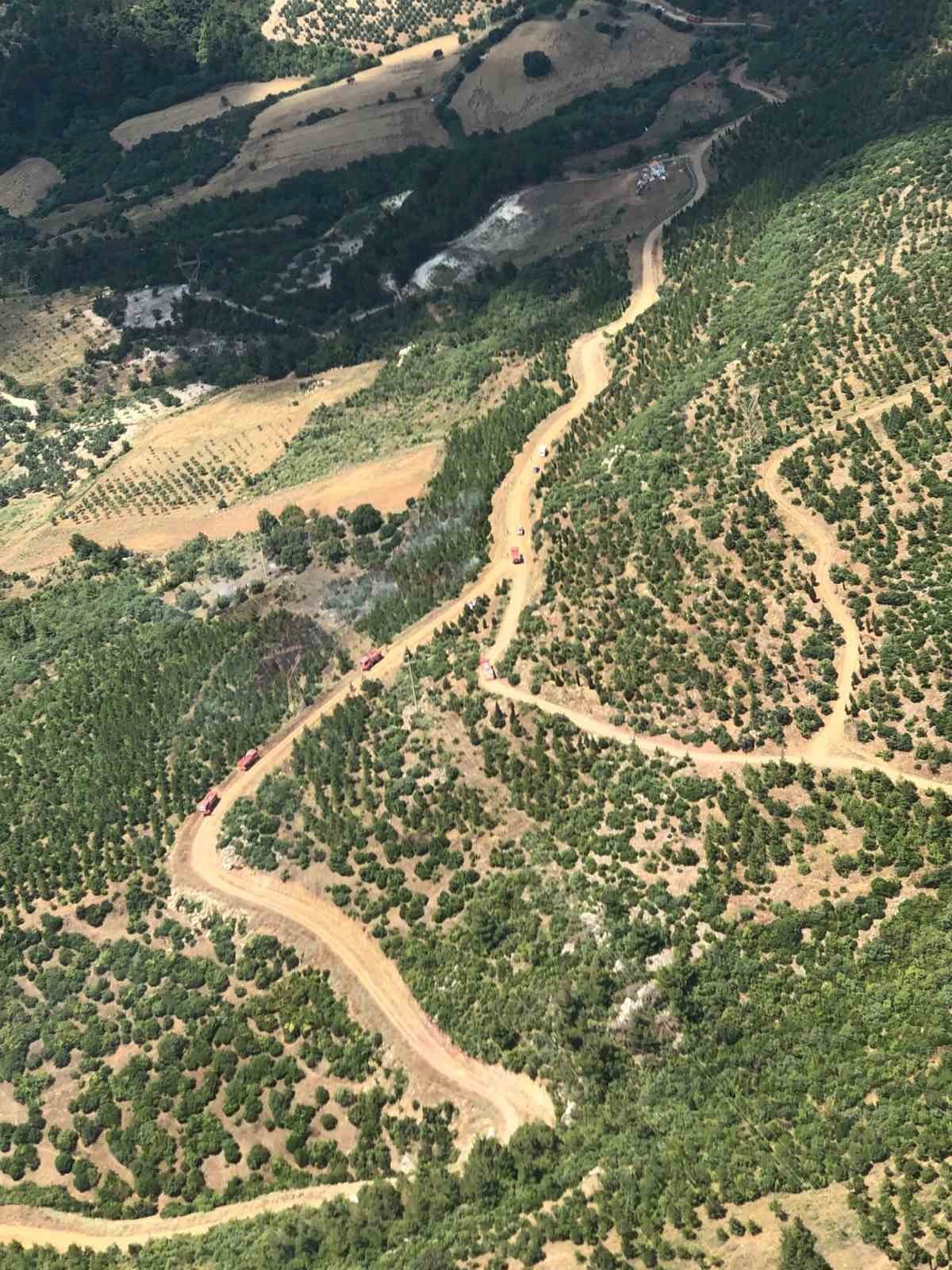 Manisa’da orman yangını