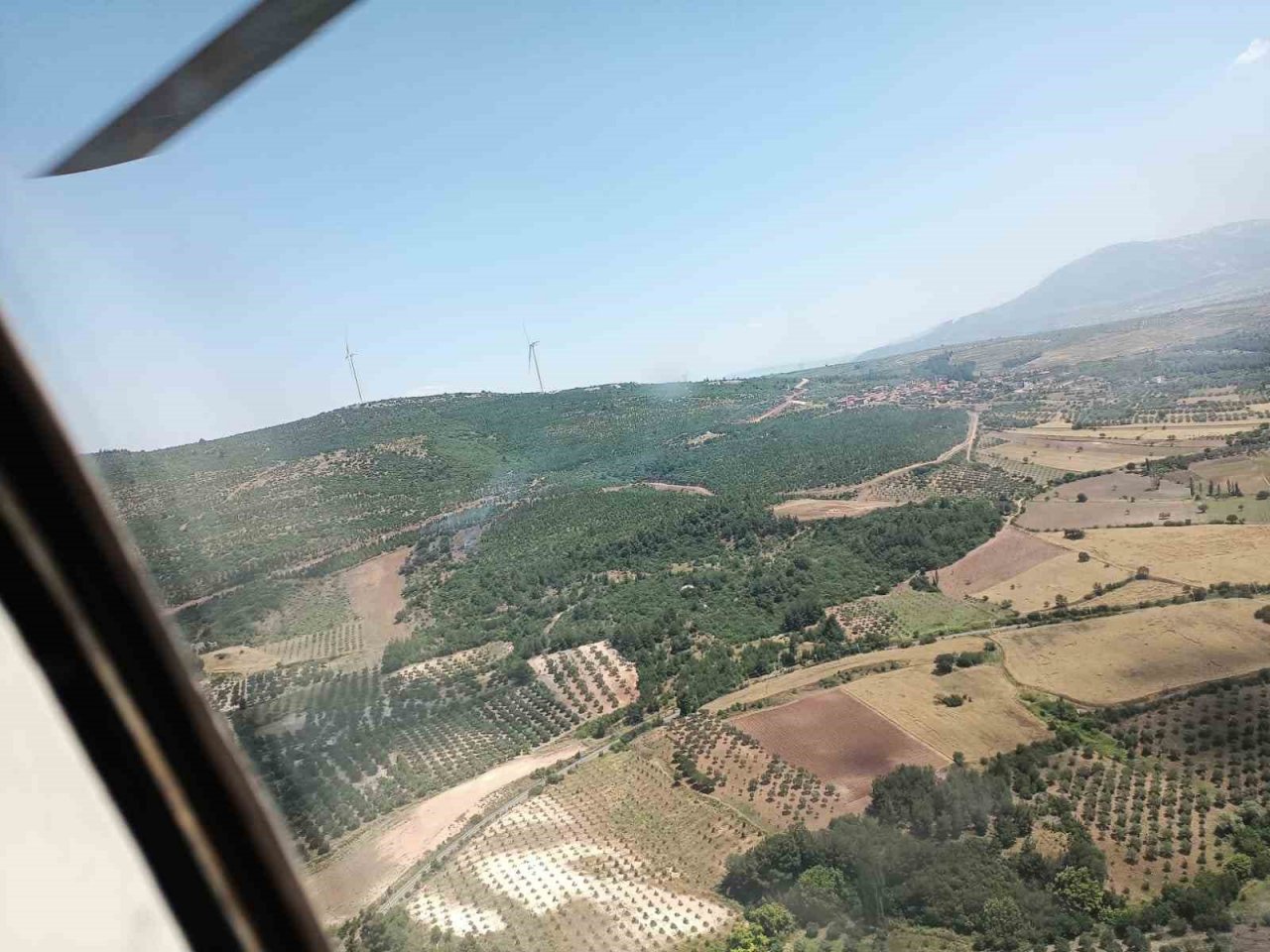 Manisa’da orman yangını