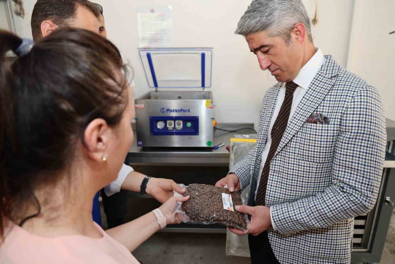 Gıda atıkları patilere mama olacak