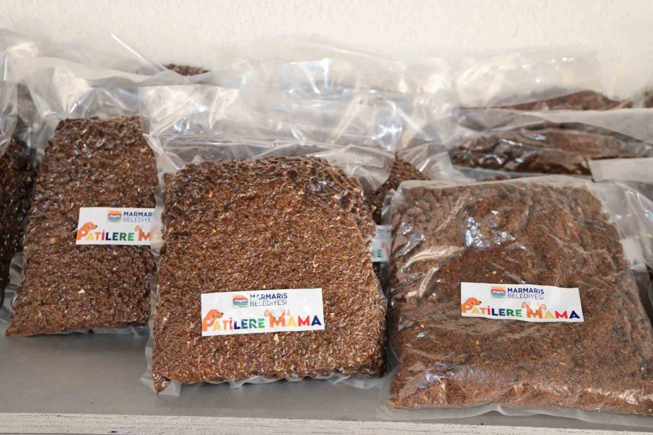 Gıda atıkları patilere mama olacak