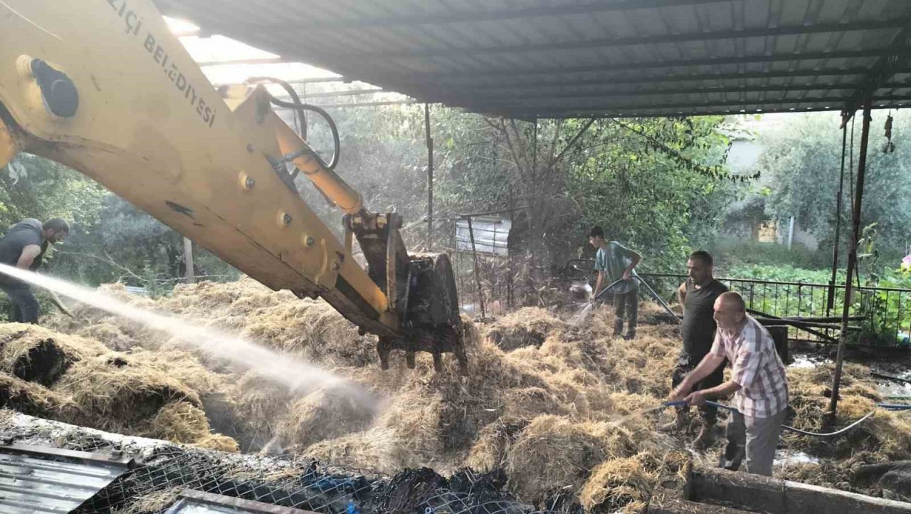 Ahır yangınında bir büyükbaş hayvan telef oldu