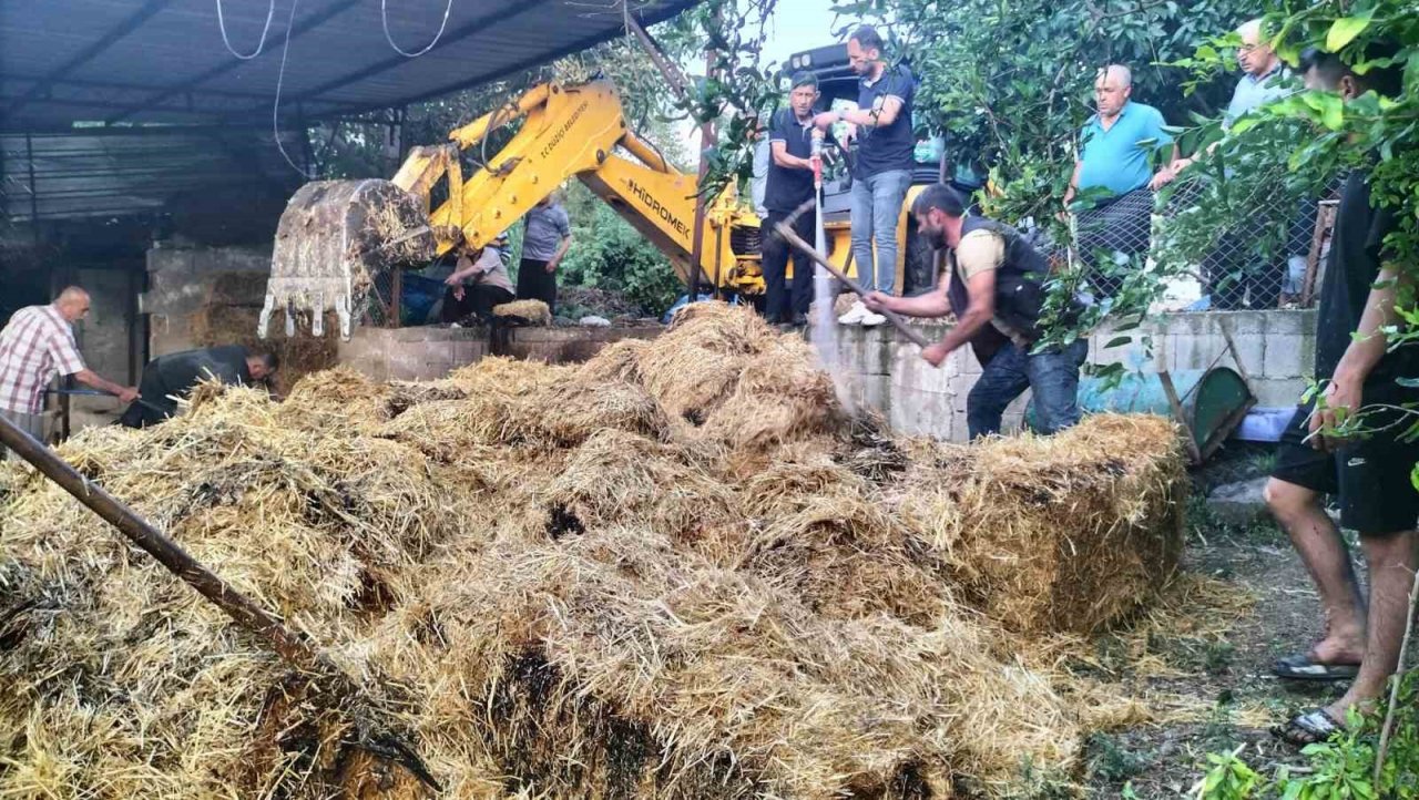 Ahır yangınında bir büyükbaş hayvan telef oldu