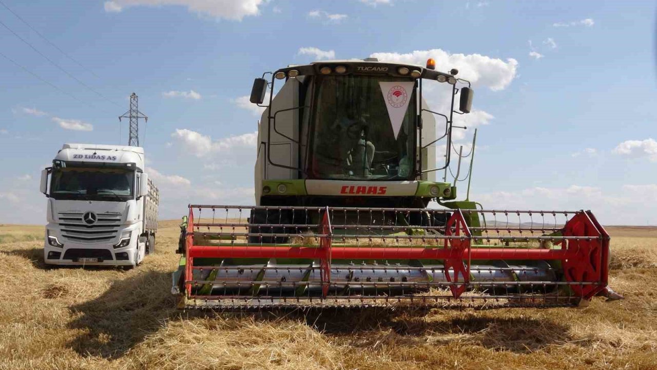 Siirtli çiftçinin 310 bin dekar buğday tarlasından beklentisi 160 bin ton üzeri