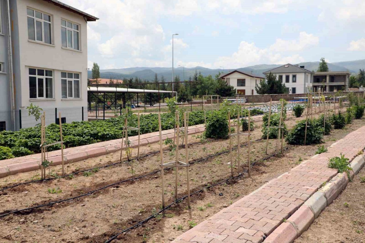 Talas’ta deneme bahçeleriyle yeni ürünlere teşvik