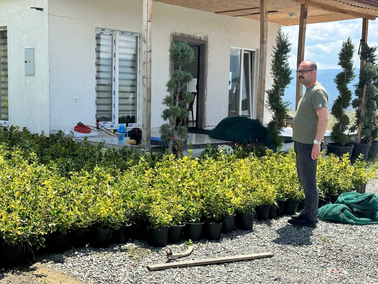 Tosya Belediyesi, ilçede 10 bin kök süs bitkisi dikecek