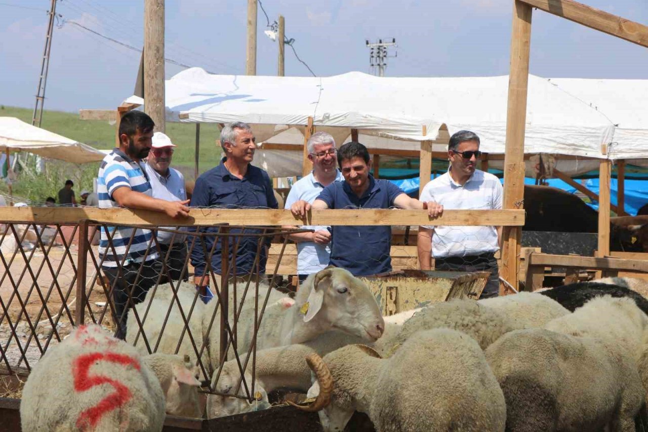 Parıldar kurban pazarı ile satış kesim yerlerini inceledi