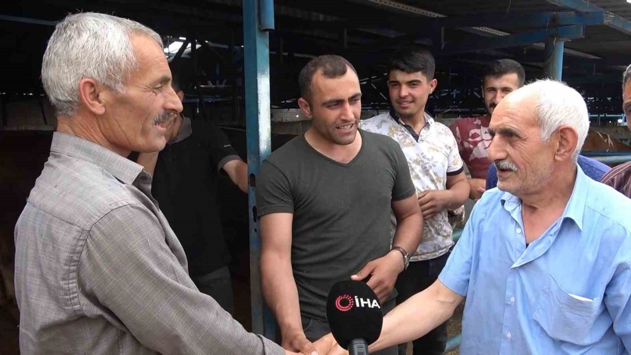 Bursa’nın en ağır büyükbaş kurbanlığı 1 ton 50 kilogram ağırlığı ile “Paşa”