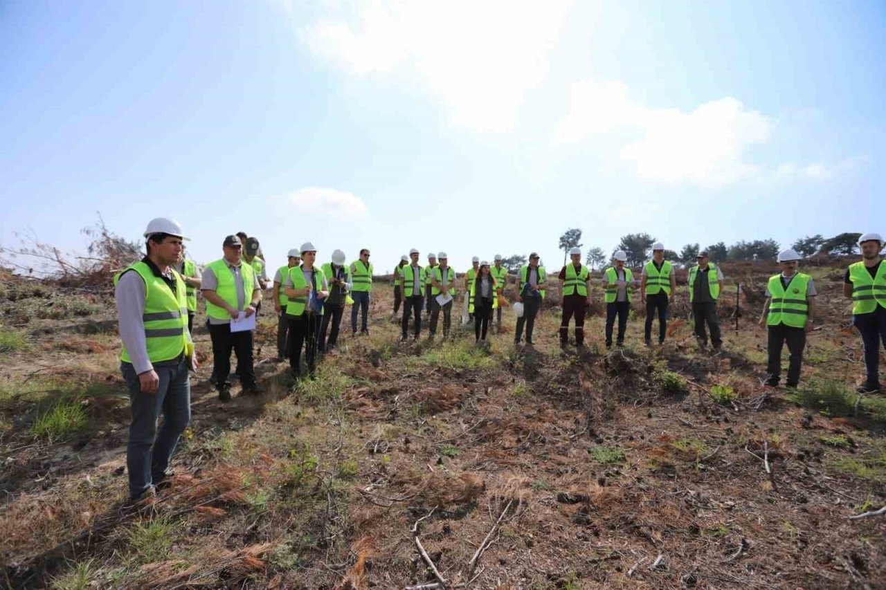 Denizli’de yeni ormanlar planlı olarak kuruluyor