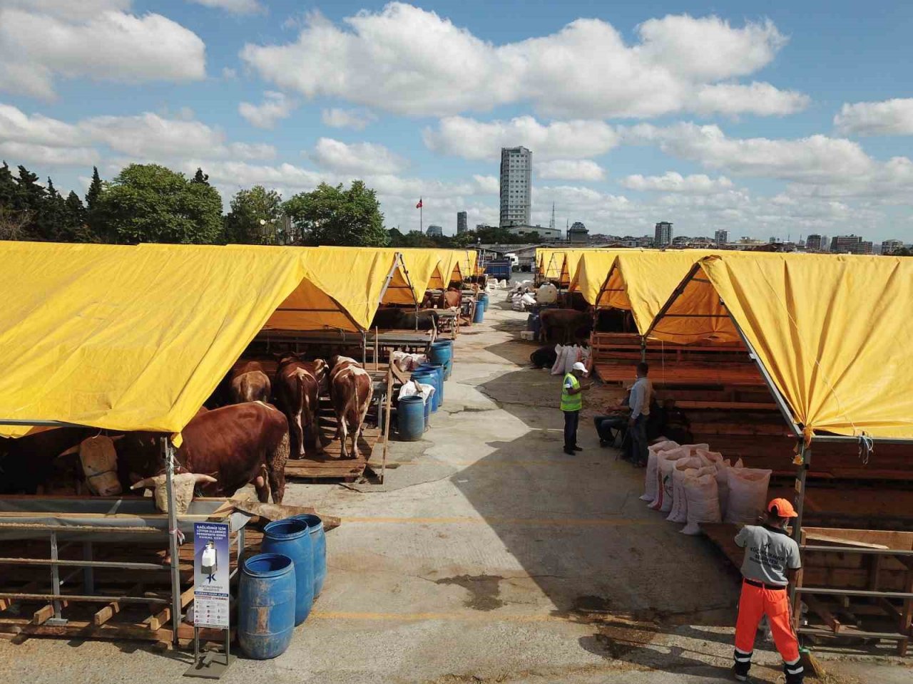 Denizli’ye kurbanda 34 bin hayvan girişi olacak