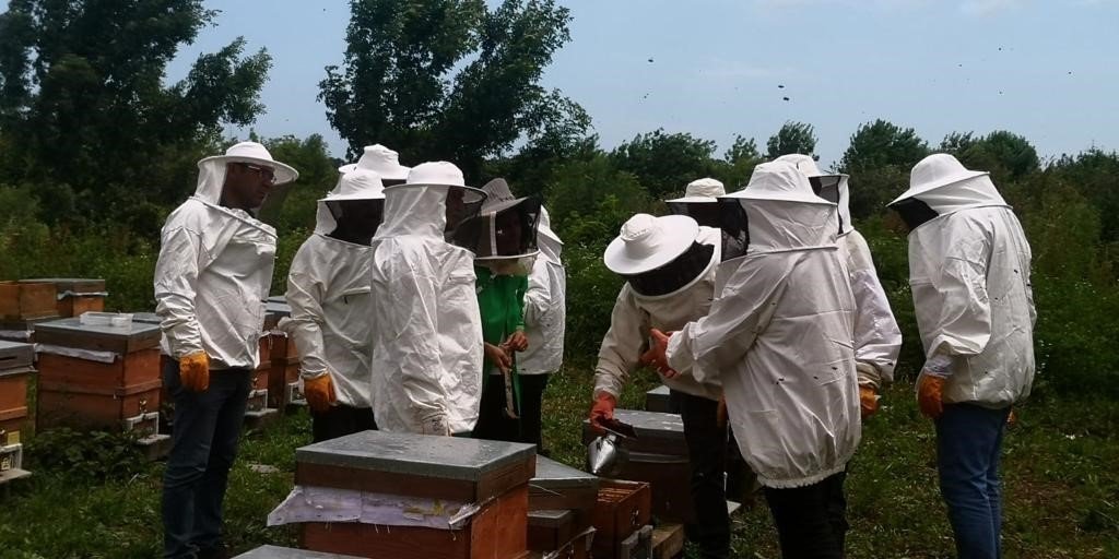 Genç arıcılara eğitim