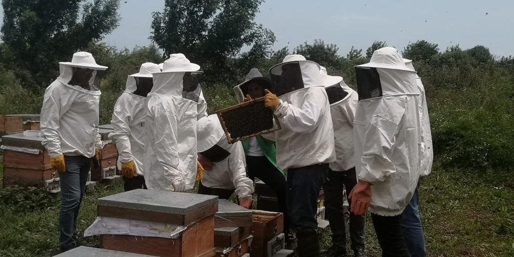 Genç arıcılara eğitim